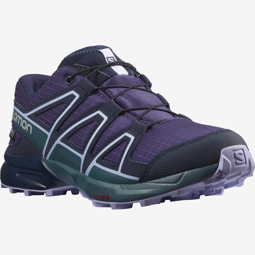 Kids' Salomon SPEEDCROSS CLIMASALOMON™ WATERPROOF Hiking Boots Purple/Blue/Lavender | SA51436-150