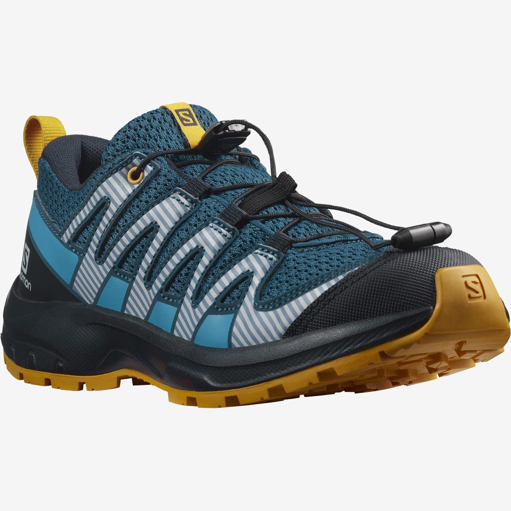 Kids' Salomon XA PRO V8 Hiking Boots Blue | SA67415-936