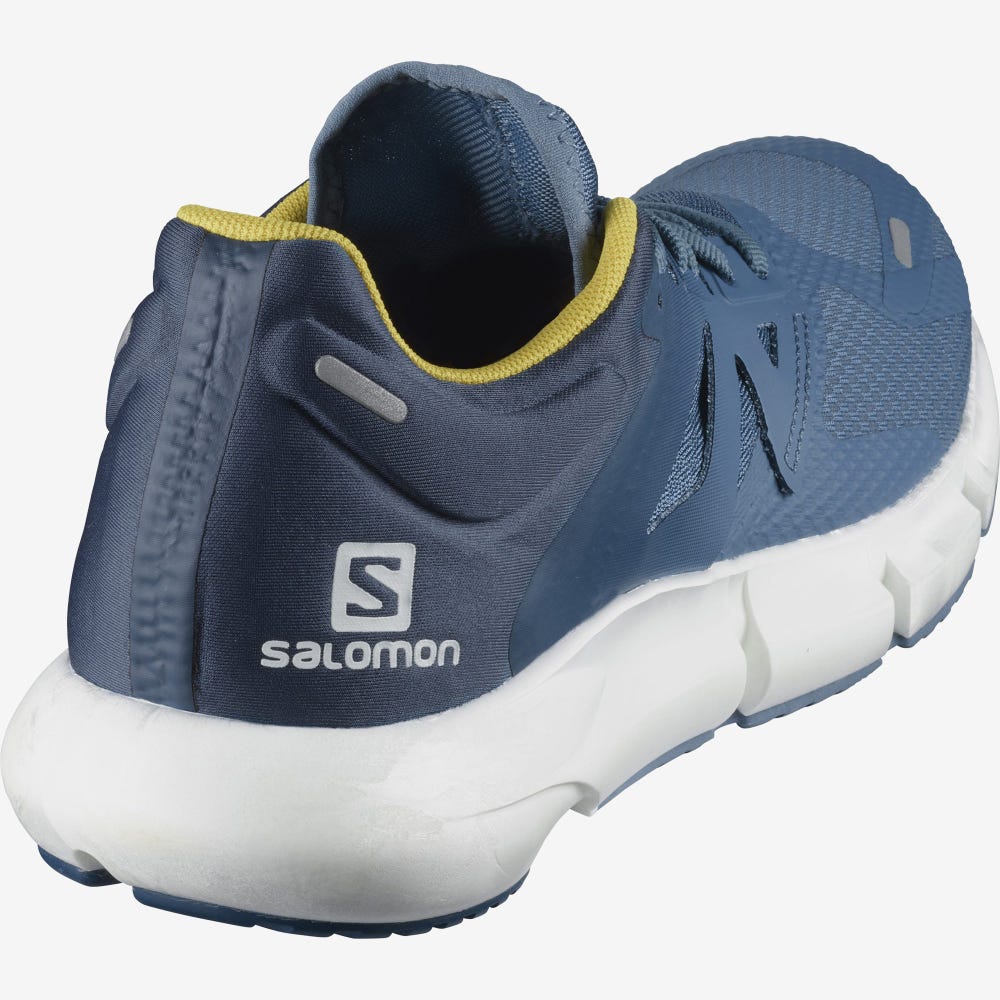 Men's Salomon PREDICT 2 Running Shoes Blue/Dark Blue | SA74105-547