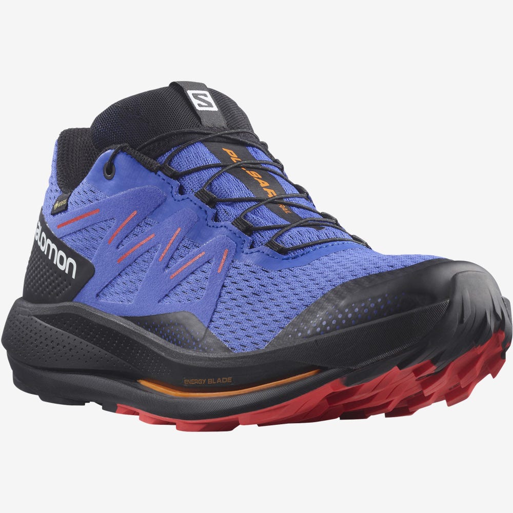 Men's Salomon PULSAR TRAIL GORE-TEX Trail Running Shoes Blue/Black/Red | SA10587-530