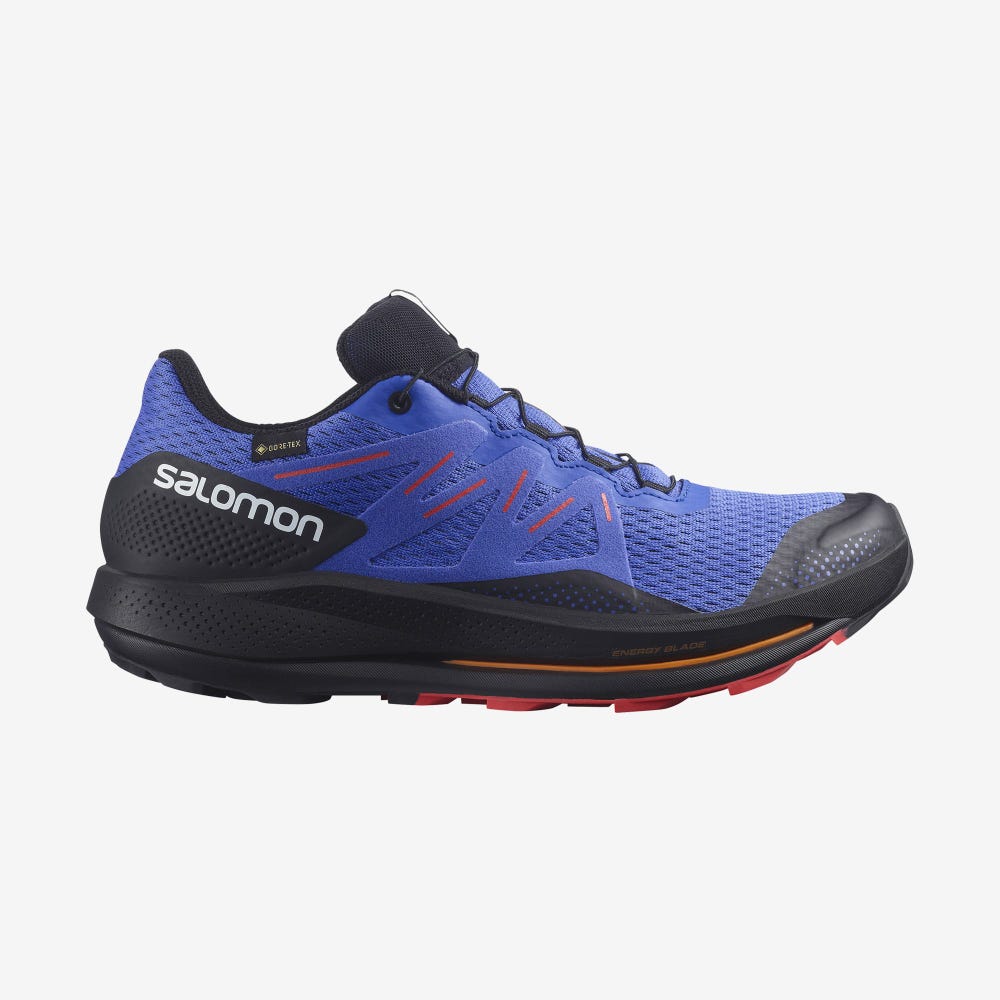 Men\'s Salomon PULSAR TRAIL GORE-TEX Trail Running Shoes Blue/Black/Red | SA10587-530