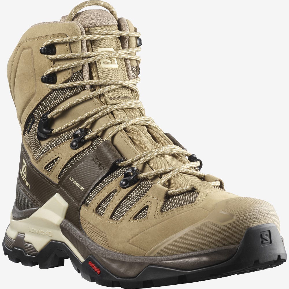 Men's Salomon QUEST 4 GORE-TEX Hiking Boots Brown | SA04658-198