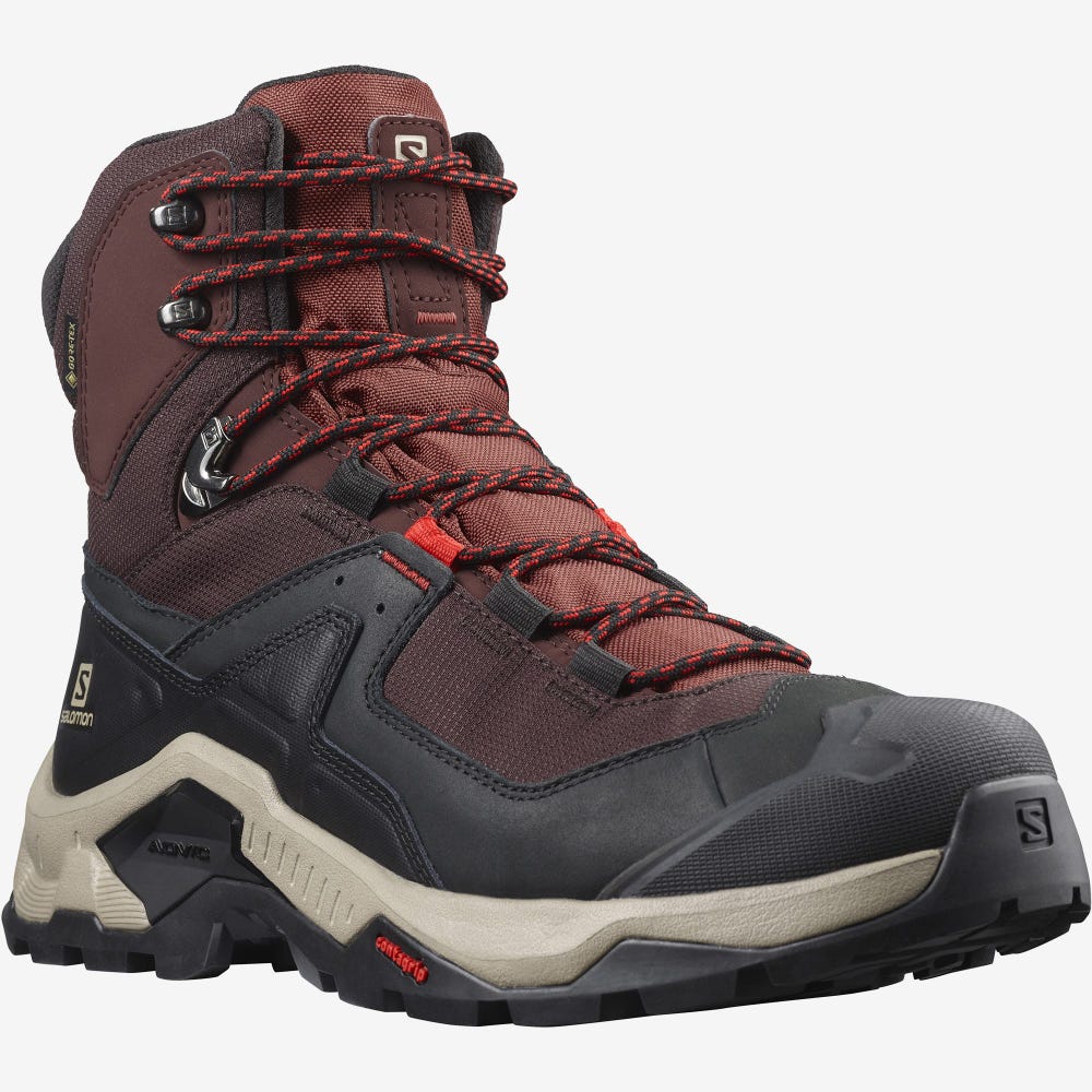 Men's Salomon QUEST ELEMENT GORE-TEX Hiking Boots Chocolate Purple/Brown | SA07936-130