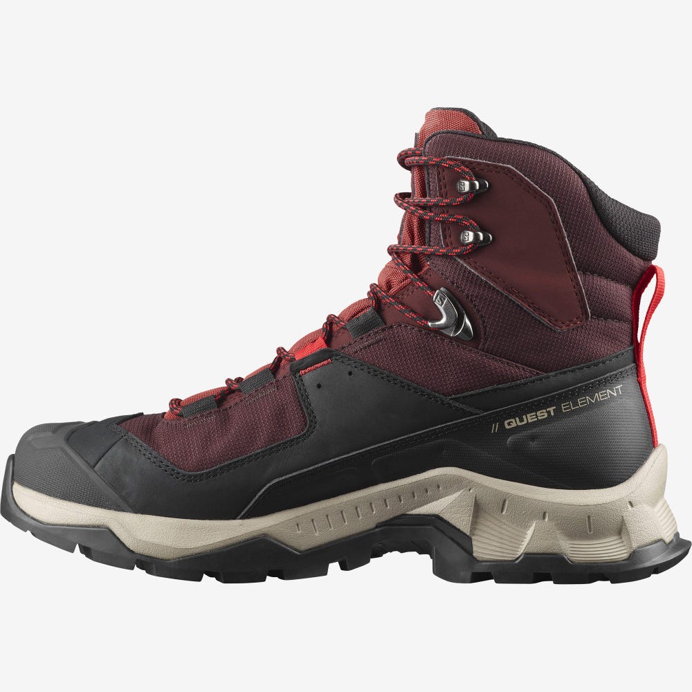 Men's Salomon QUEST ELEMENT GORE-TEX Hiking Boots Chocolate Purple/Brown | SA07936-130