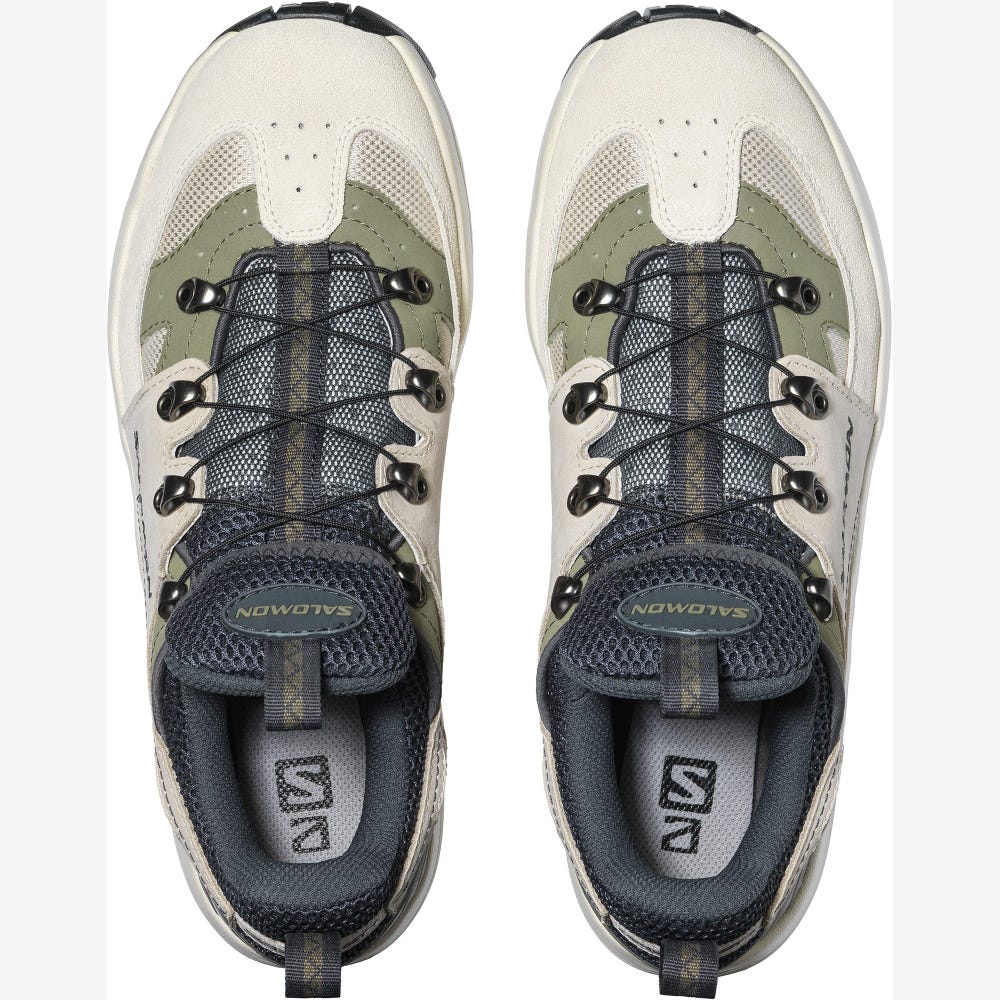 Men's Salomon RAID WIND ADVANCED Sneakers Grey/Beige/Deep Green | SA25406-637