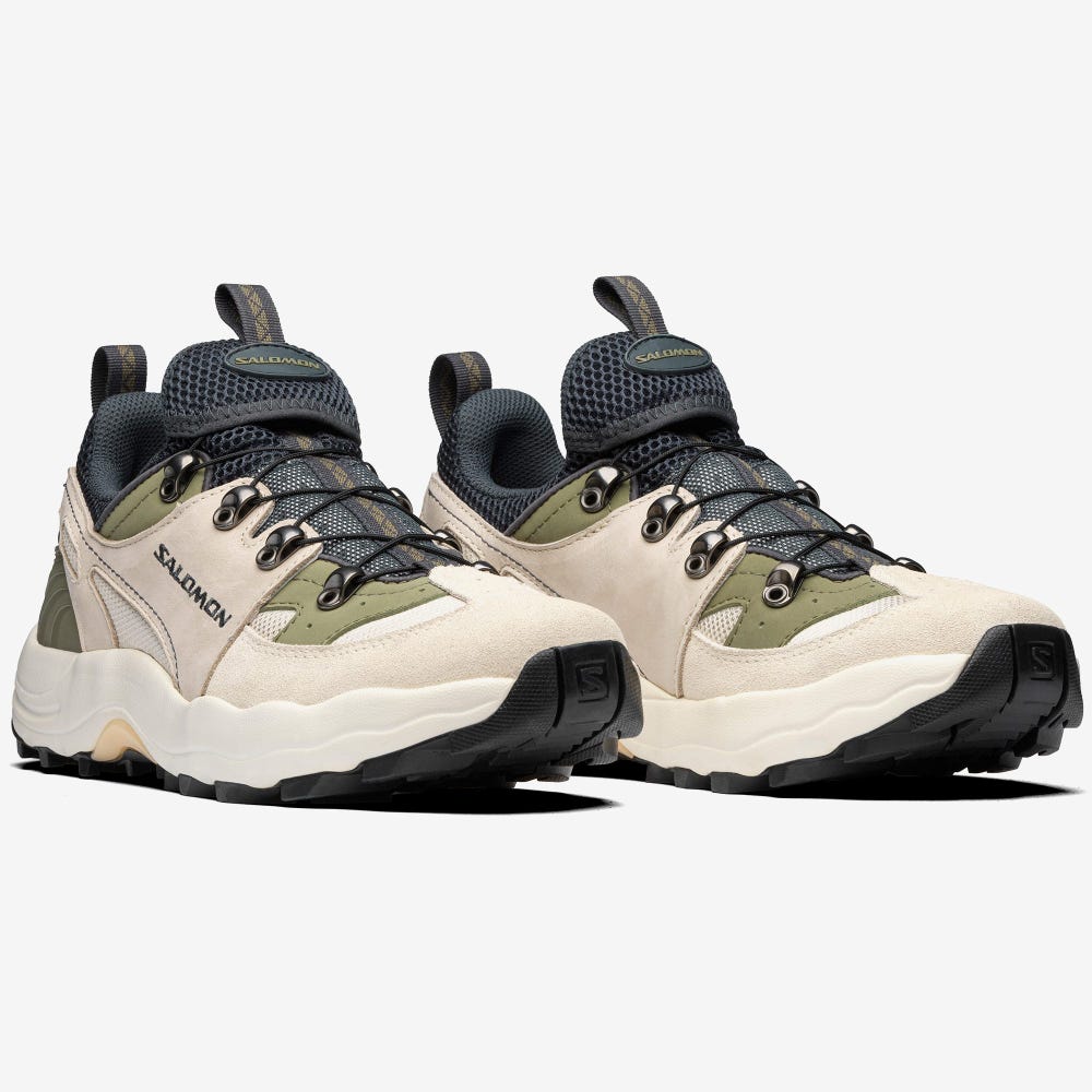 Men's Salomon RAID WIND ADVANCED Sneakers Grey/Beige/Deep Green | SA25406-637