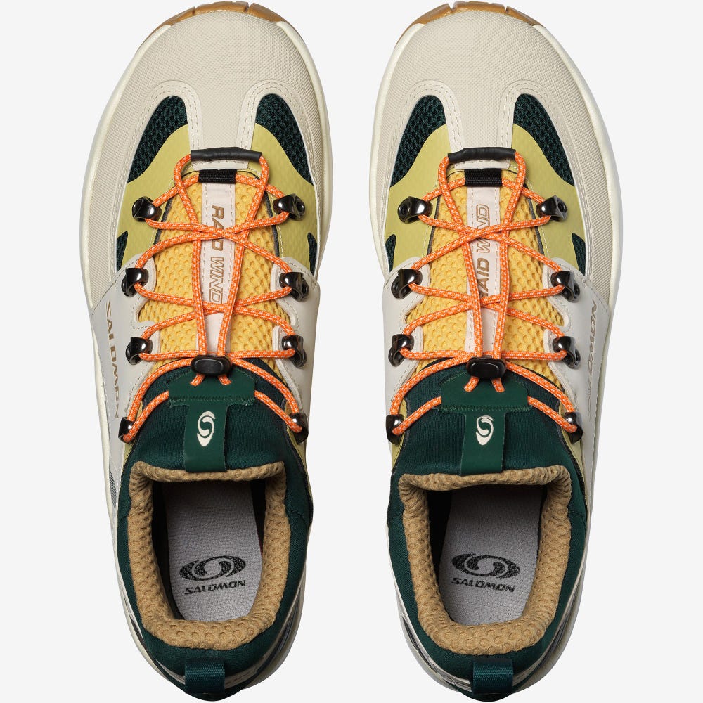 Men's Salomon RAID WIND Sneakers Deep Green/Orange | SA95473-512