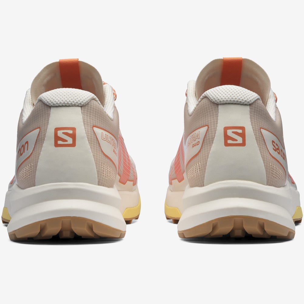 Men's Salomon ULTRA RAID Sneakers Beige/Light Brown/Orange | SA73021-203