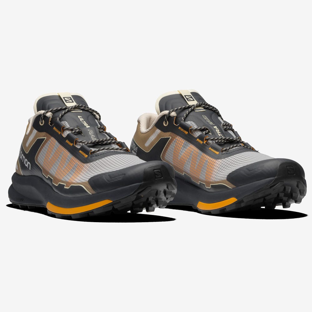 Men's Salomon ULTRA RAID Sneakers Grey/Brown | SA69783-279