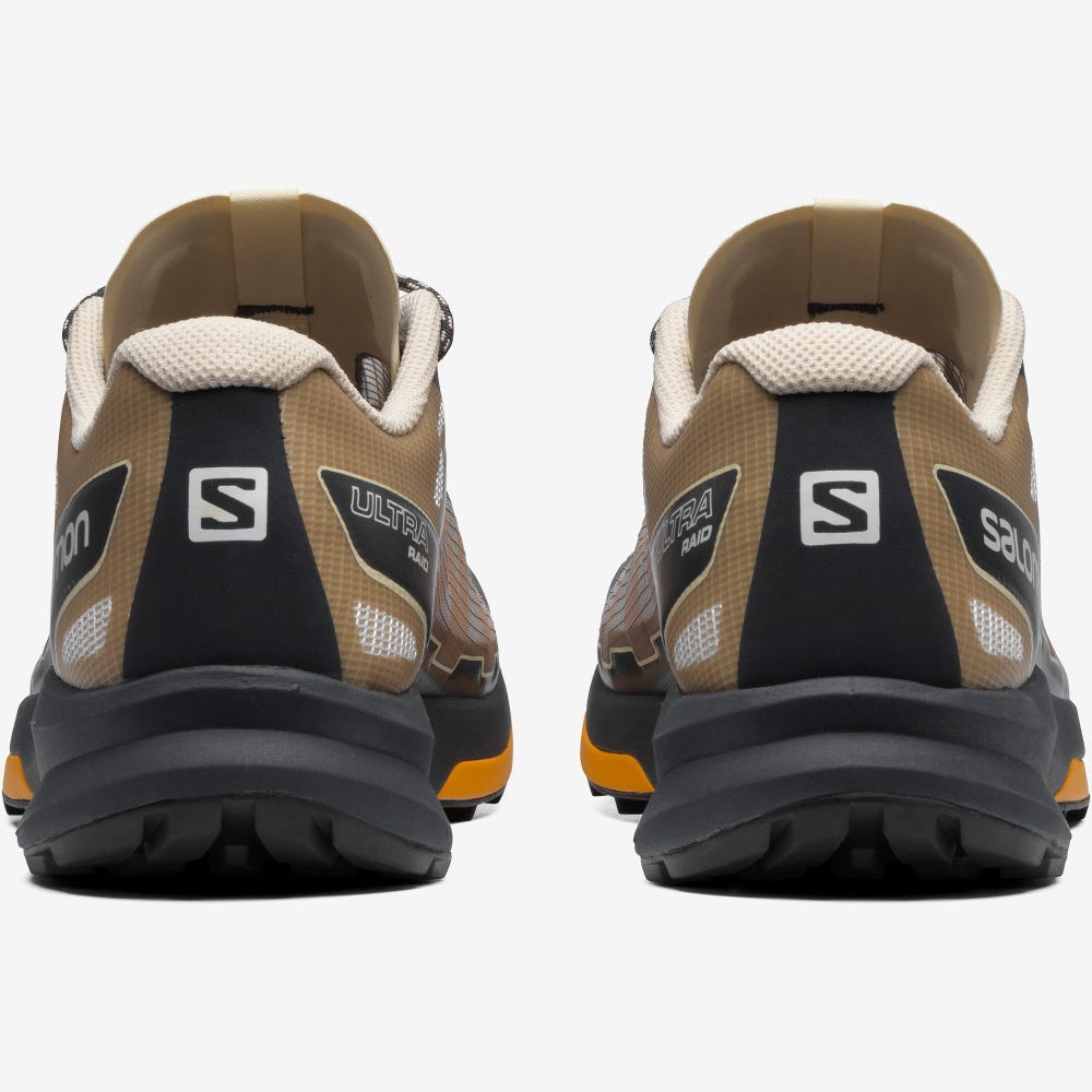 Men's Salomon ULTRA RAID Sneakers Grey/Brown | SA69783-279