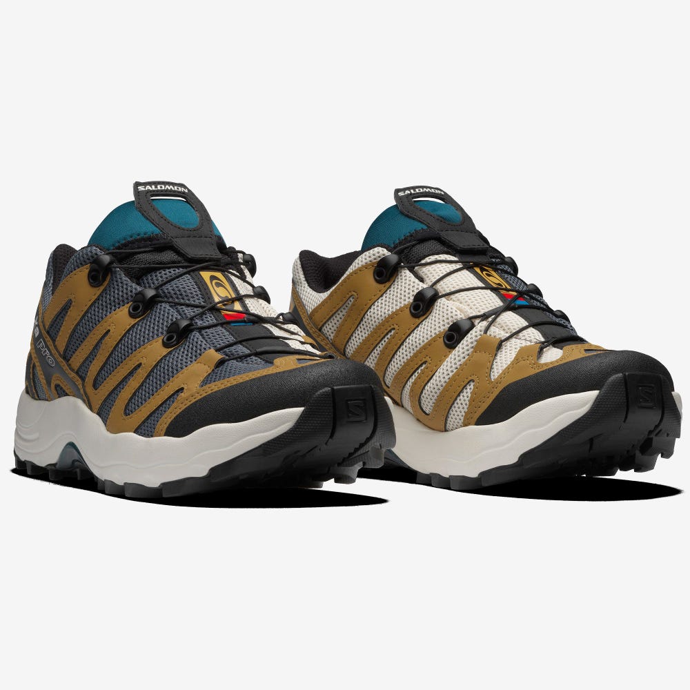 Men's Salomon XA PRO 1 Sneakers Grey/Brown | SA90267-278