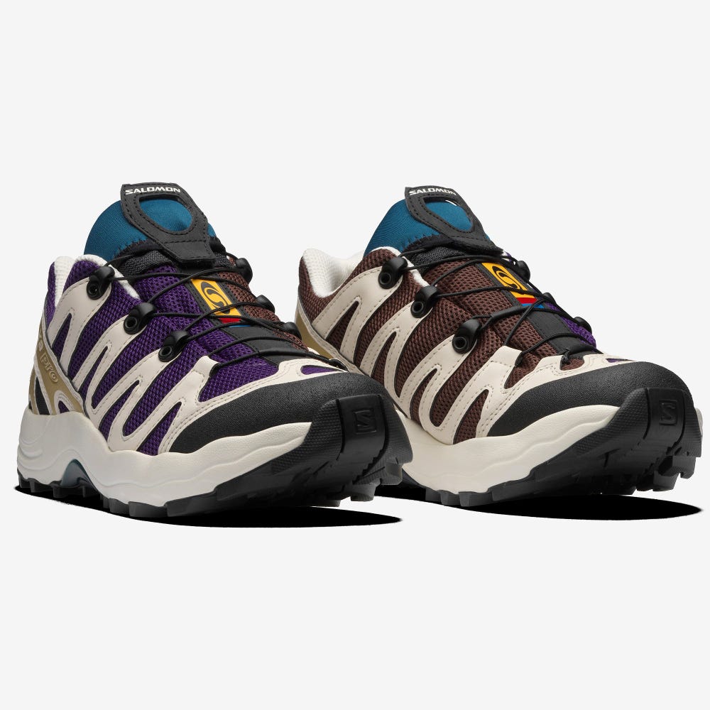 Men's Salomon XA PRO 1 Sneakers Purple/Chocolate/Blue | SA52843-417