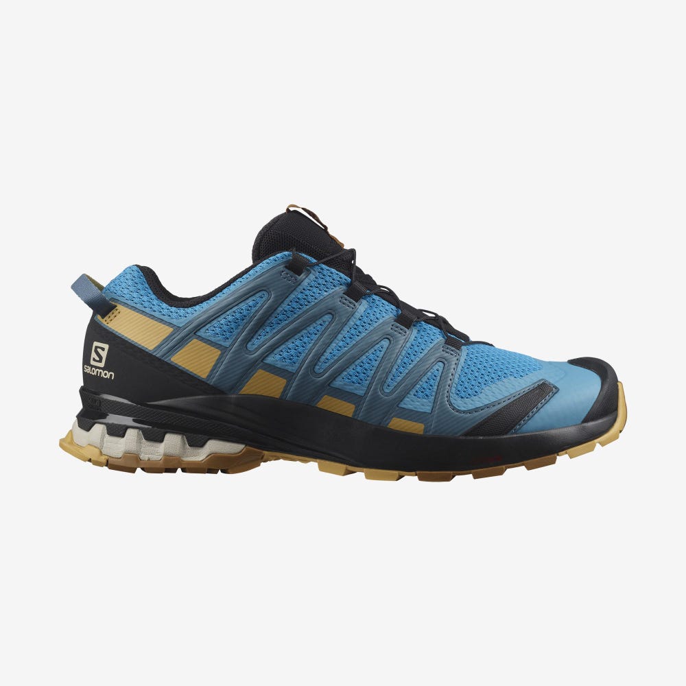 Men\'s Salomon XA PRO 3D v8 Hiking Shoes Blue/Brown | SA09387-742