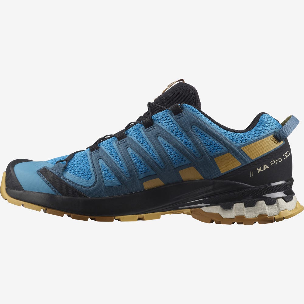 Men's Salomon XA PRO 3D v8 Trail Running Shoes Blue/Brown | SA45798-306