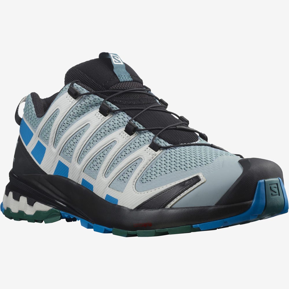 Men's Salomon XA PRO 3D v8 Trail Running Shoes Green/Blue | SA91234-689