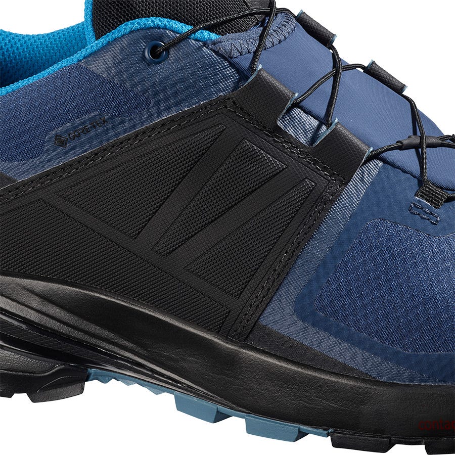 Men's Salomon XA WILD GORE-TEX Hiking Shoes Blue/Black | SA26153-871