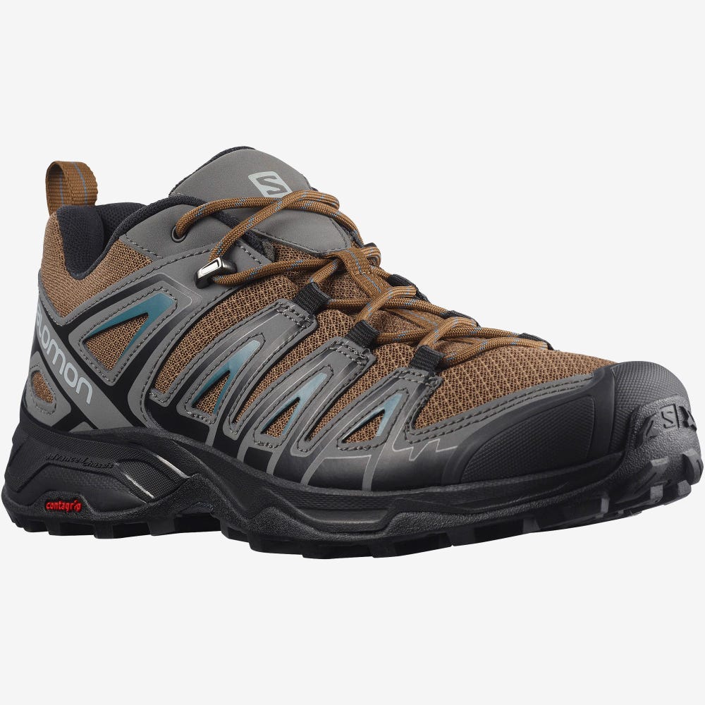 Men's Salomon X ULTRA PIONEER Hiking Shoes Blue | SA56429-926