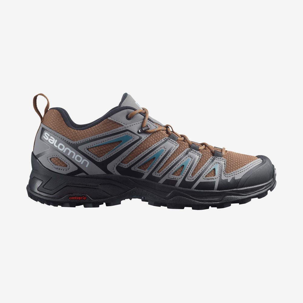 Men\'s Salomon X ULTRA PIONEER Hiking Shoes Blue | SA56429-926