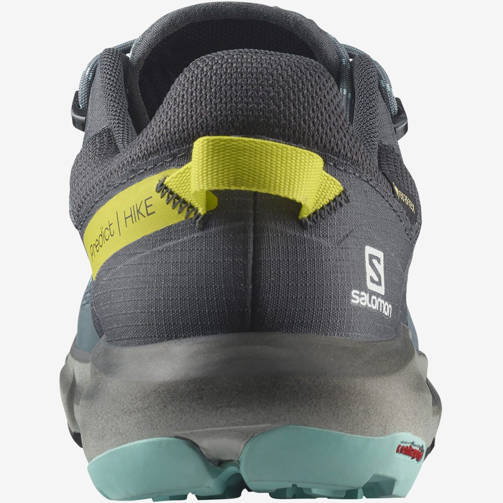 Women's Salomon PREDICT HIKE GORE-TEX Hiking Shoes Grey/Turquoise | SA05693-358