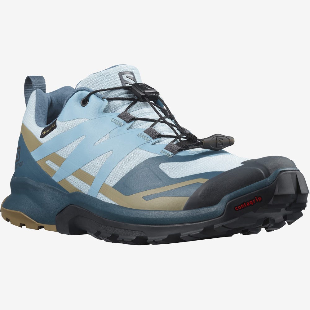 Women's Salomon XA ROGG 2 GORE-TEX Hiking Shoes Blue | SA56982-307