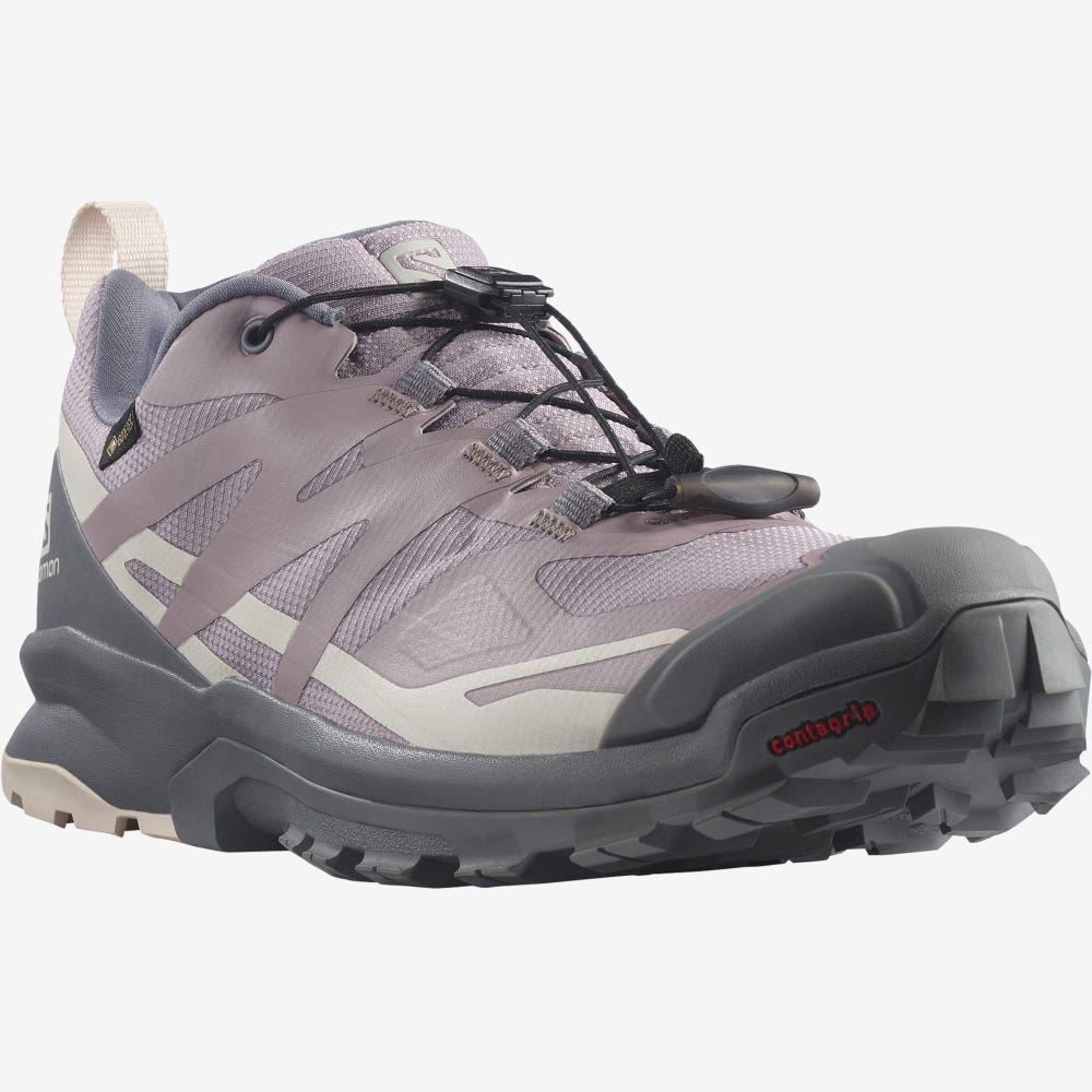 Women's Salomon XA ROGG 2 GORE-TEX Hiking Shoes Grey | SA70156-180