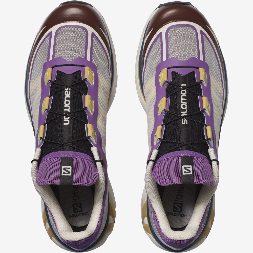 Women's Salomon XT-6 FT Sneakers Royal Purple/Chocolate | SA01653-917