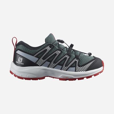 Kids' Salomon XA PRO V8 Trail Running Shoes Grey/Blue | SA80694-652