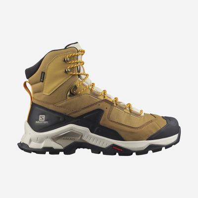 Men's Salomon QUEST ELEMENT GORE-TEX Hiking Boots Brown | SA02139-062