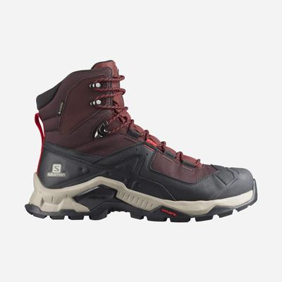 Men's Salomon QUEST ELEMENT GORE-TEX Hiking Boots Chocolate Purple/Brown | SA07936-130