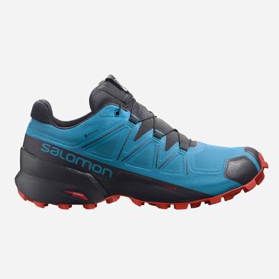 Men's Salomon SPEEDCROSS 5 GORE-TEX Trail Running Shoes Blue/Black | SA24869-832