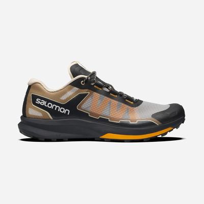 Men's Salomon ULTRA RAID Sneakers Grey/Brown | SA69783-279