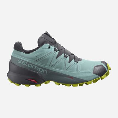 Women's Salomon SPEEDCROSS 5 GORE-TEX Trail Running Shoes Turquoise | SA15428-029