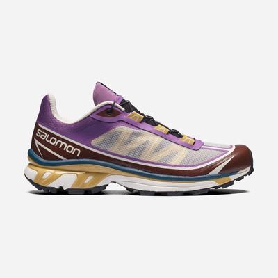 Women's Salomon XT-6 FT Sneakers Royal Purple/Chocolate | SA01653-917